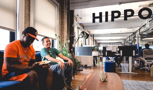Hippo office